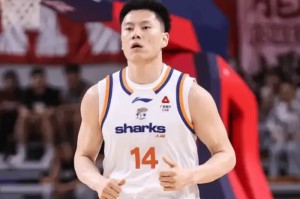 500.com-CBA最佳阵容3人成大赢家！李弘权逐步提升，庞峥麟+徐昕获认可！|篮板|球员|赛季|杜锋|星锐_新浪体育_新浪新闻